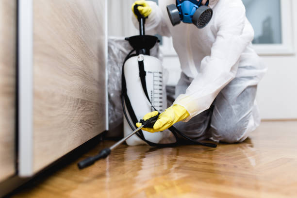 Best Pest Control Near Me  in Roland, OK