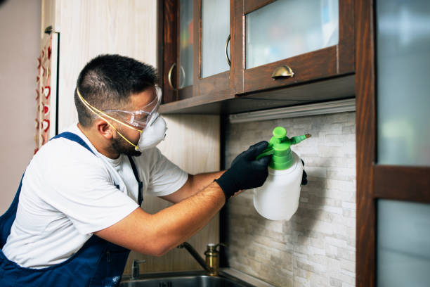 Best Affordable Pest Control Services  in Roland, OK
