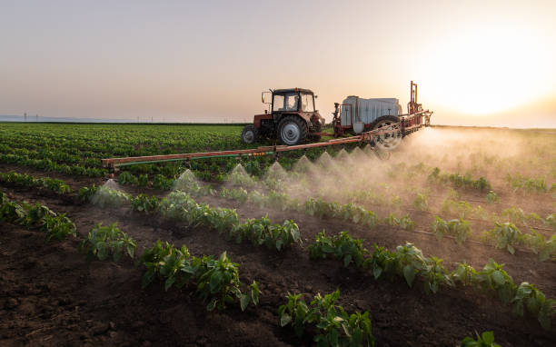 Best Local Pest Control Services  in Roland, OK
