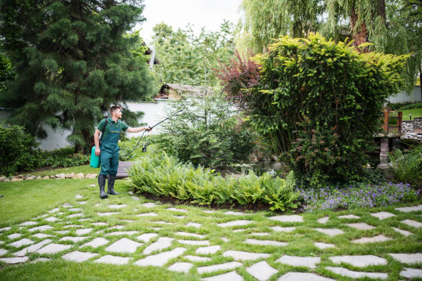 Best Mosquito Control Services  in Roland, OK