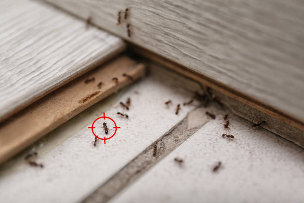 Best Pest Control for Businesses  in Roland, OK