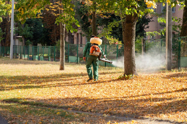 Best Commercial Pest Control Services  in Roland, OK